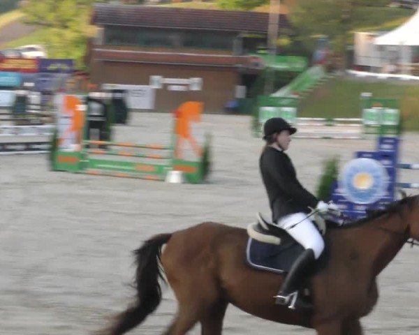 Reitturnier Preding 2022