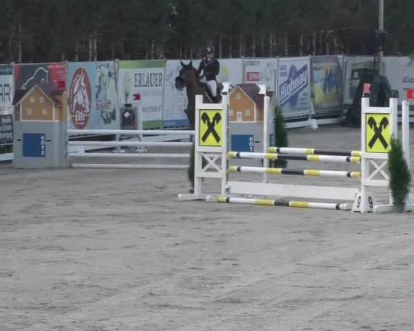 Reitturnier Preding 2022
