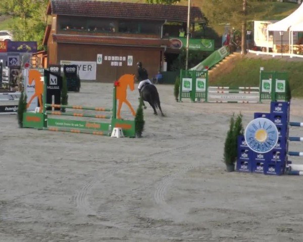 Reitturnier Preding 2022