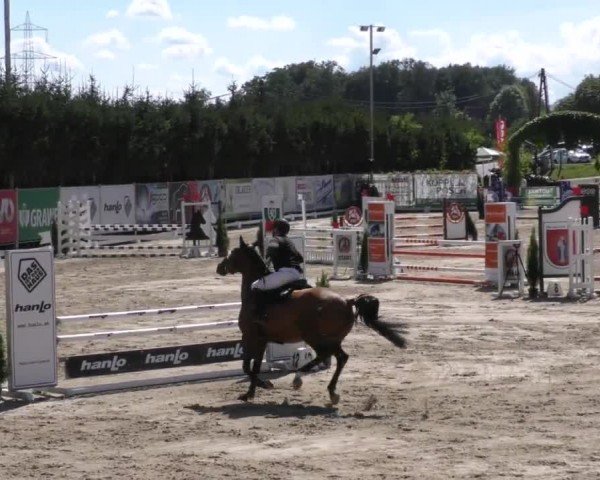 Reitturnier Preding 2022