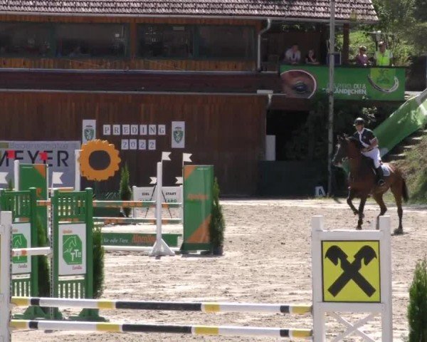 Reitturnier Preding 2022