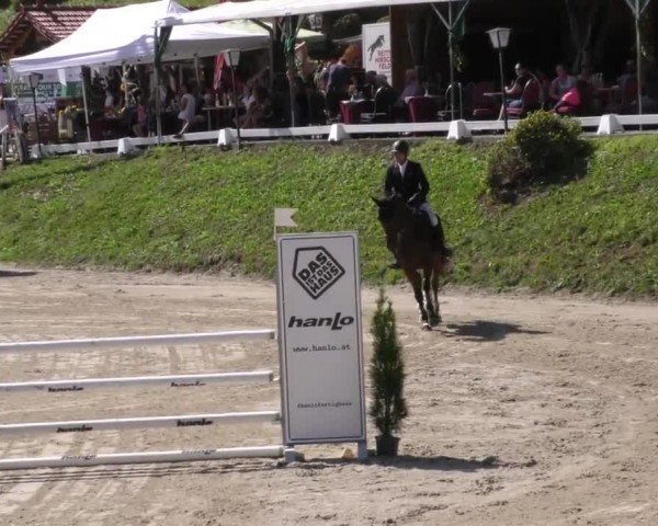 Reitturnier Preding 2022