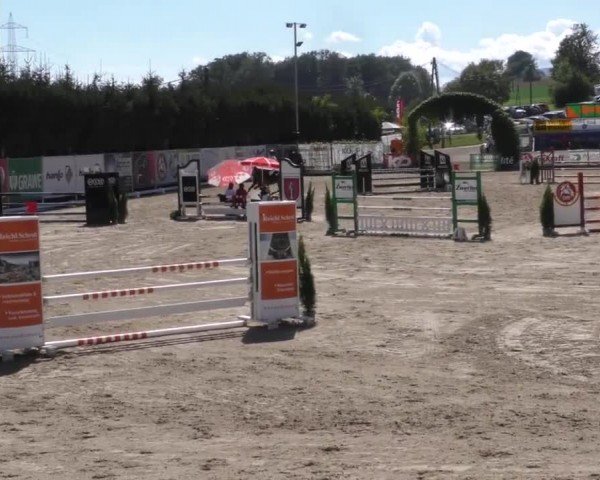 Reitturnier Preding 2022