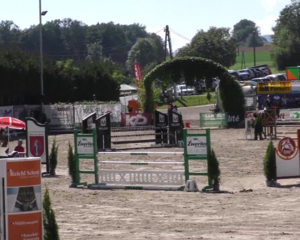 Reitturnier Preding 2022