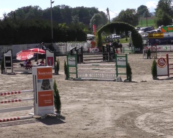 Reitturnier Preding 2022