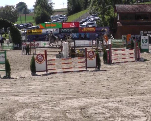 Reitturnier Preding 2022