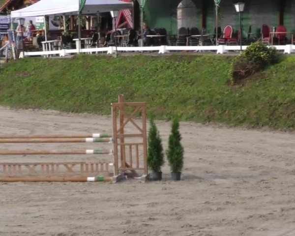 Reitturnier Preding 2022