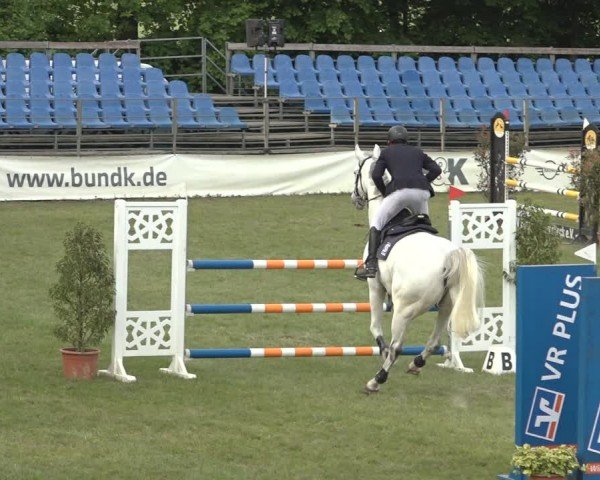 Reitturnier Scharnebeck 2024