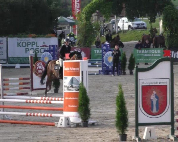 Reitturnier Preding 2022