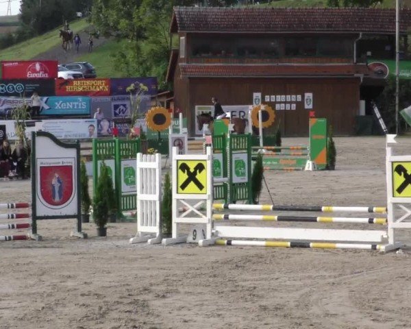 Reitturnier Preding 2022