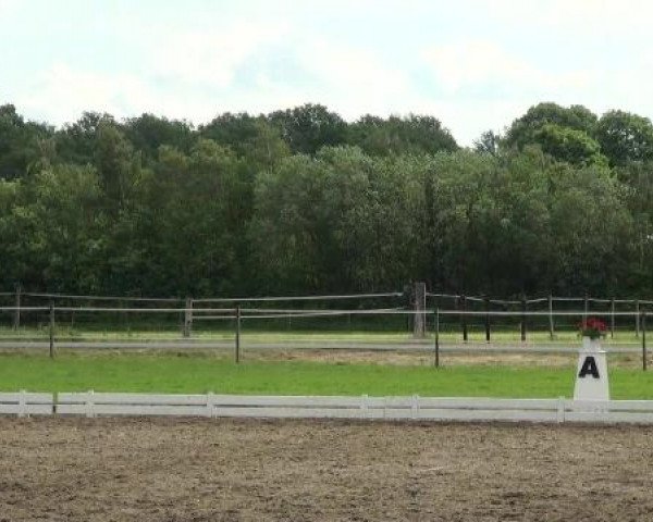 Großes Sommerturnier in Hille 2012