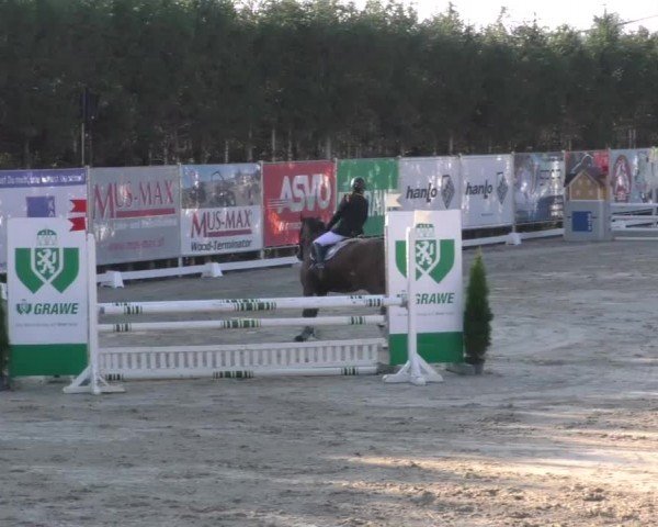 Reitturnier Preding 2022
