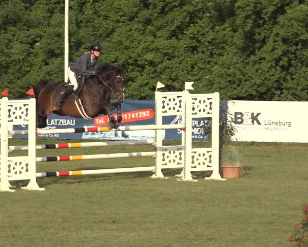 Reitturnier Scharnebeck 2024