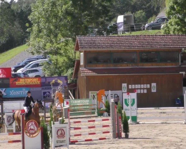 Reitturnier Preding 2022