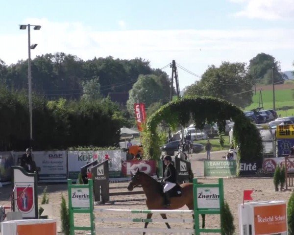 Reitturnier Preding 2022