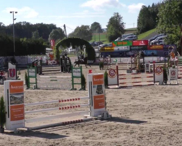 Reitturnier Preding 2022