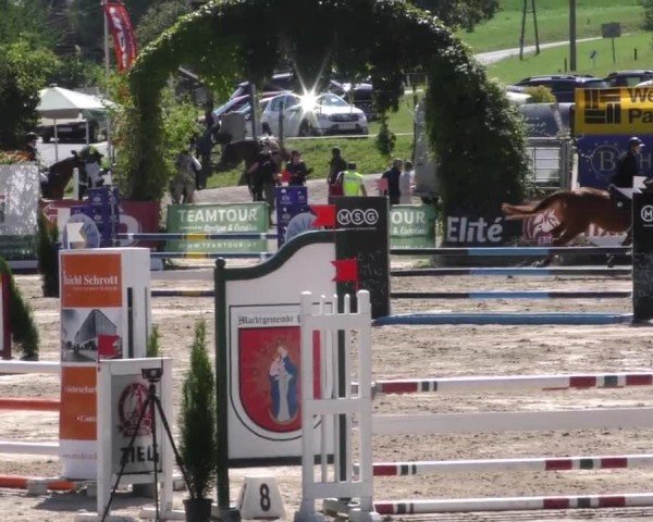 Reitturnier Preding 2022