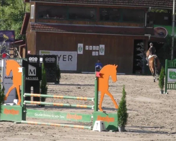 Reitturnier Preding 2022