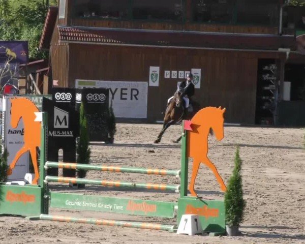 Reitturnier Preding 2022
