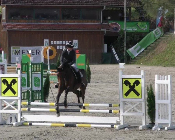 Reitturnier Preding 2022