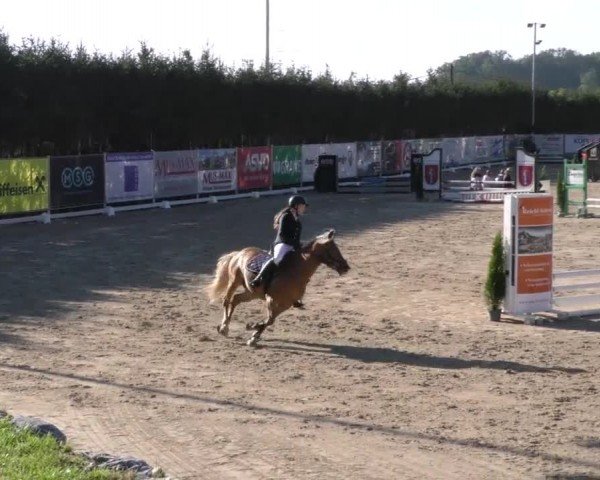 Reitturnier Preding 2022