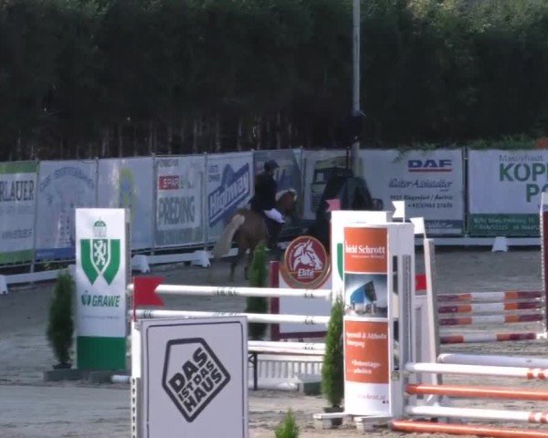 Reitturnier Preding 2022