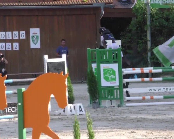 Reitturnier Preding 2022