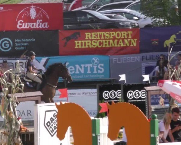 Reitturnier Preding 2022