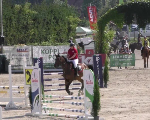 Reitturnier Preding 2022