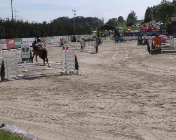 Reitturnier Preding 2022