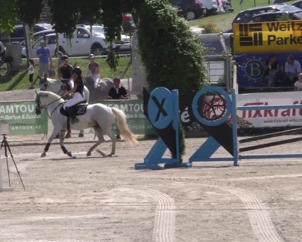 Reitturnier Preding 2022