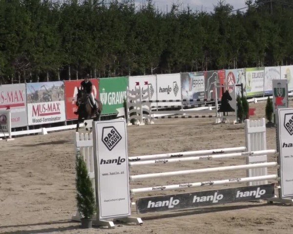 Reitturnier Preding 2022