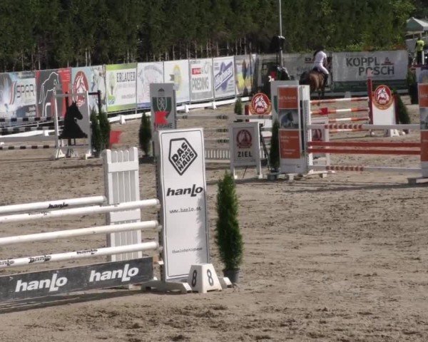 Reitturnier Preding 2022