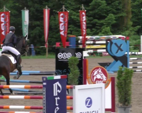 Reitturnier Tillmitsch 2022