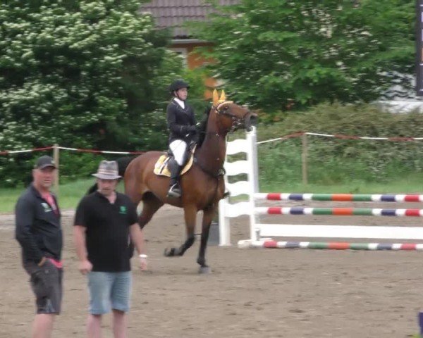 Reitturnier Tillmitsch 2022