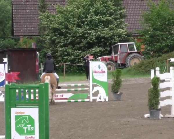 Reitturnier Tillmitsch 2022