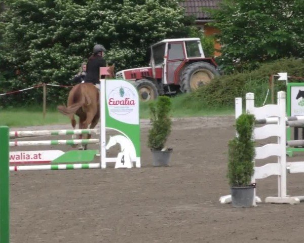 Reitturnier Tillmitsch 2022