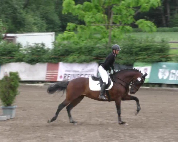 Reitturnier Tillmitsch 2022