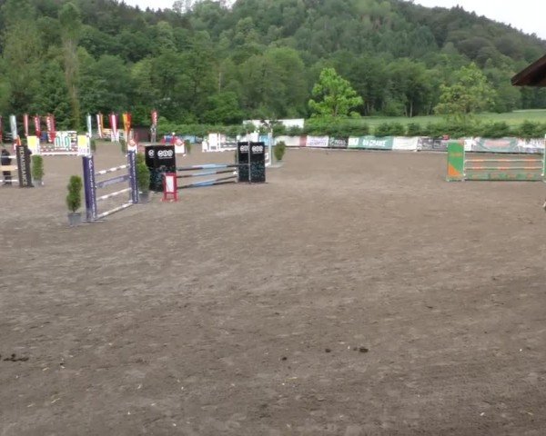 Reitturnier Tillmitsch 2022