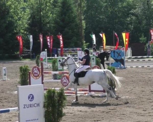 Reitturnier Tillmitsch 2022
