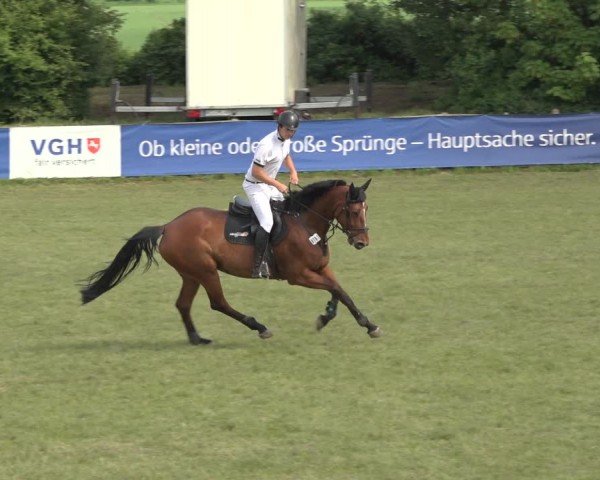 Reitturnier Scharnebeck 2024