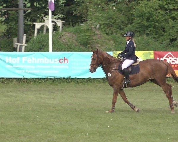 Reitturnier Scharnebeck 2024
