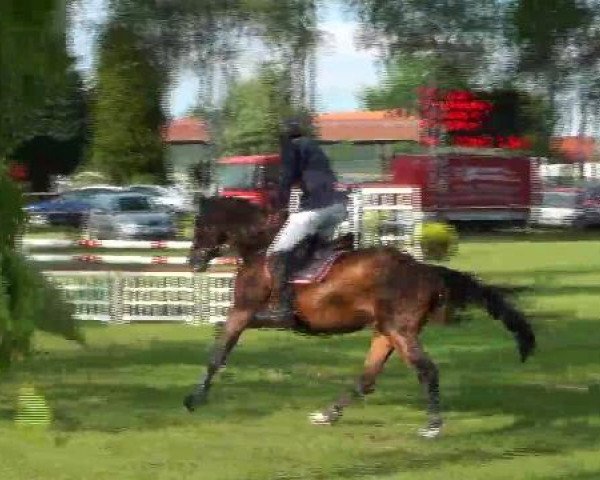 Großes Sommerturnier in Hille 2012