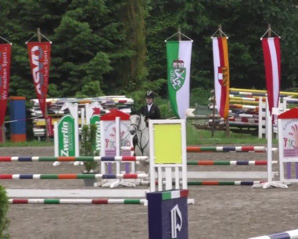 Reitturnier Tillmitsch 2022