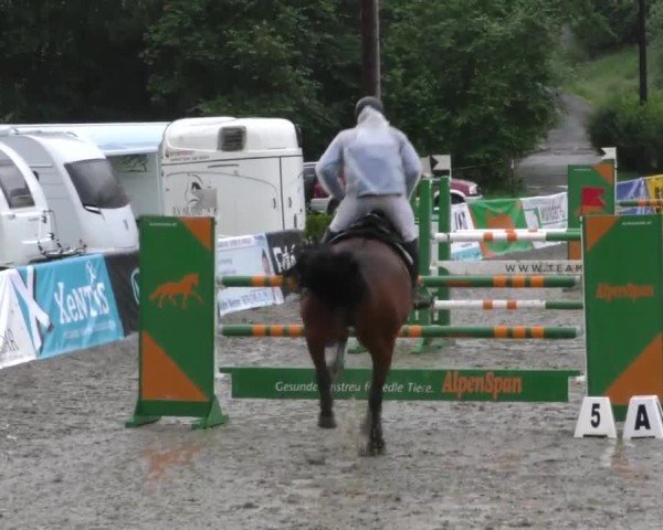 Reitturnier Tillmitsch 2022