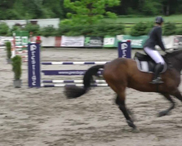 Reitturnier Tillmitsch 2022