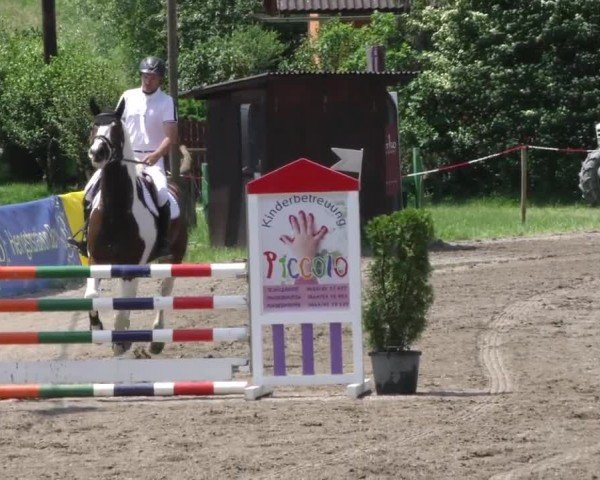 Reitturnier Tillmitsch 2022