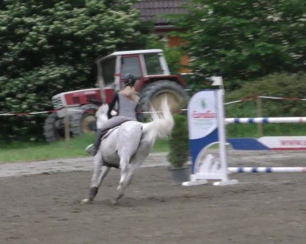 Reitturnier Tillmitsch 2022