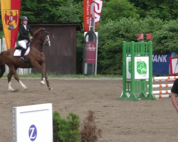 Reitturnier Tillmitsch 2022