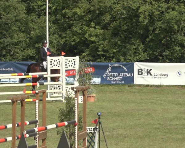 Reitturnier Scharnebeck 2024